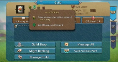 《Beautiful Guild Lv25》